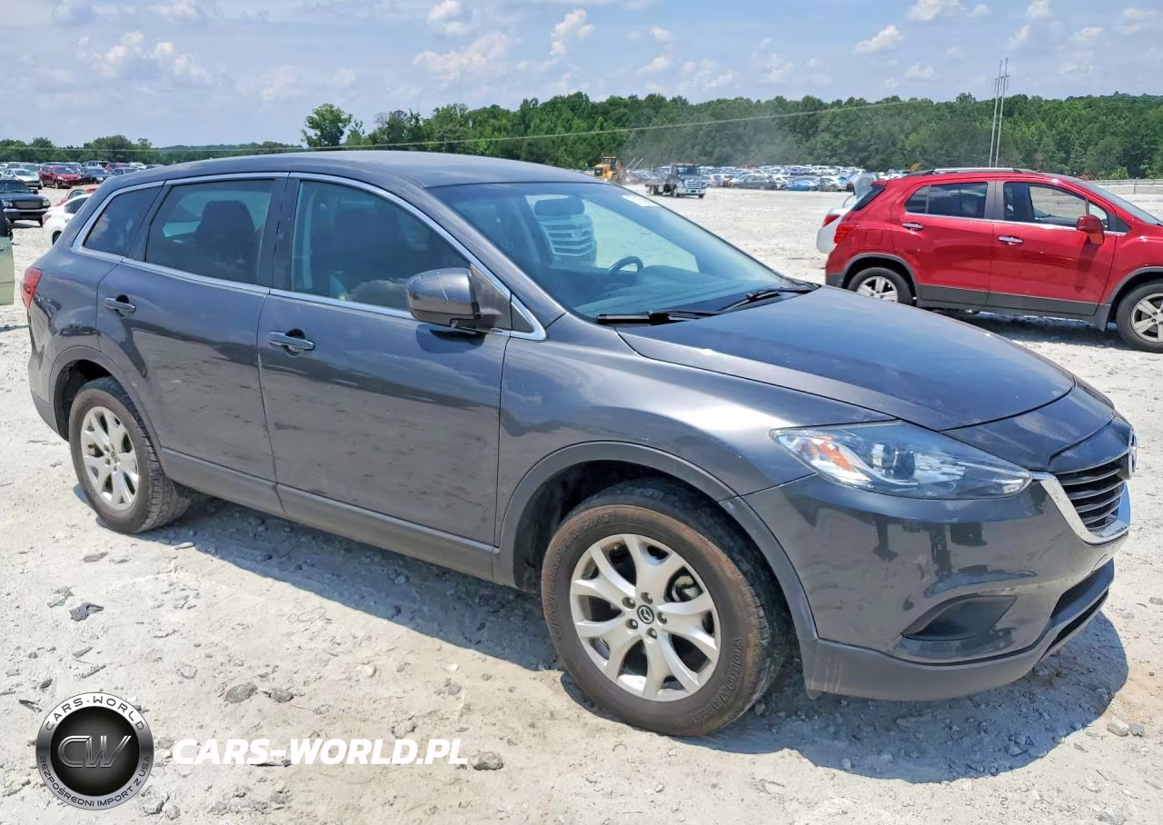 2013 Mazda Cx-9 Sport VIN:JM3TB2BV5D0420314 - 4