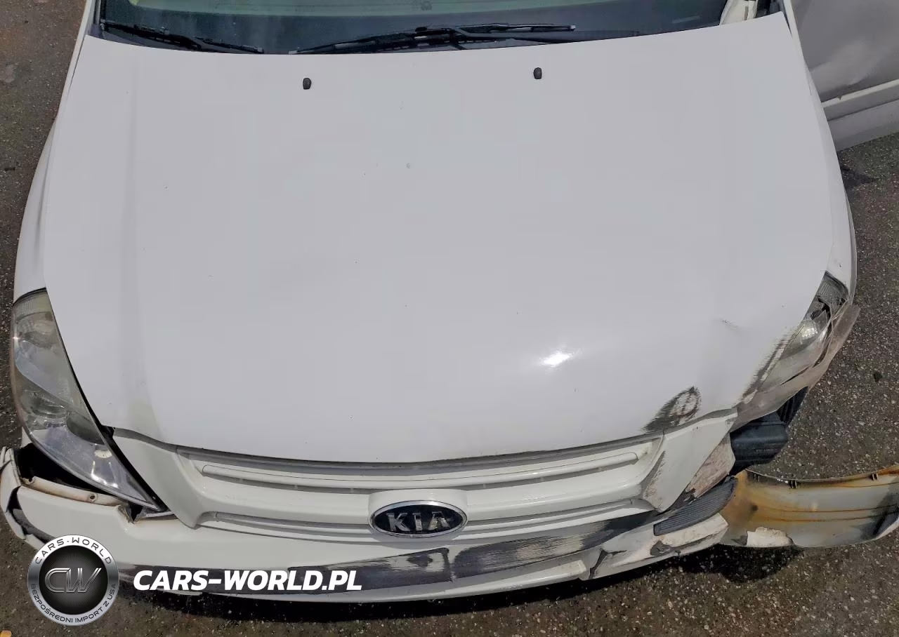 2009 Kia Sedona Lx VIN:KNDMB233X96291713 - 12