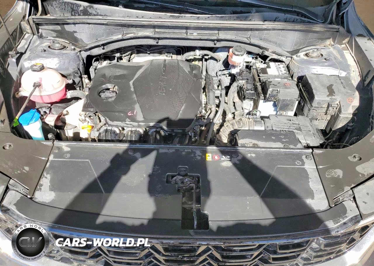 2024 Kia Sorento S VIN:5XYRL4JCXRG289880 - 12