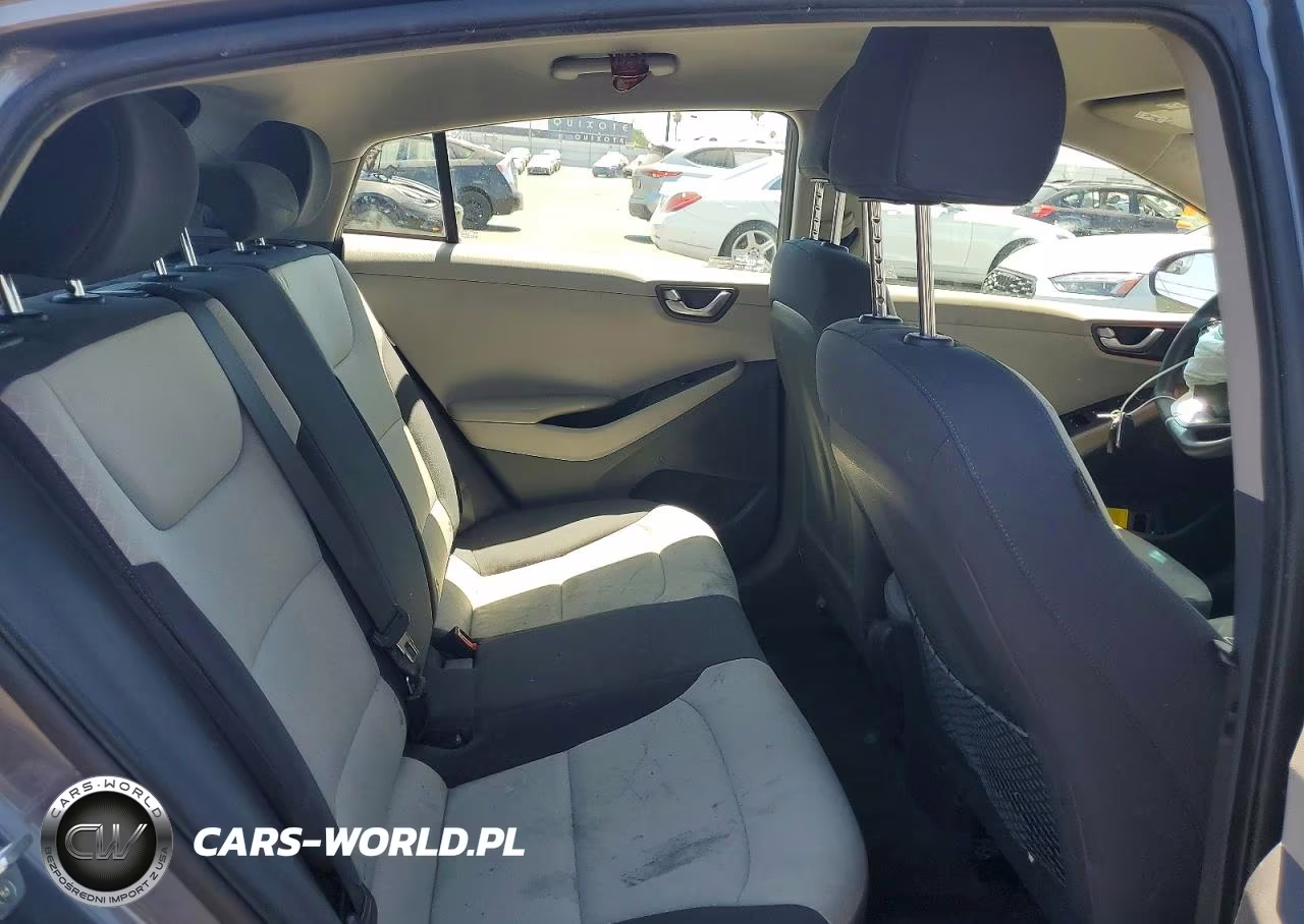2017 Hyundai Ioniq Blue VIN:KMHC65LC2HU040126 - 10