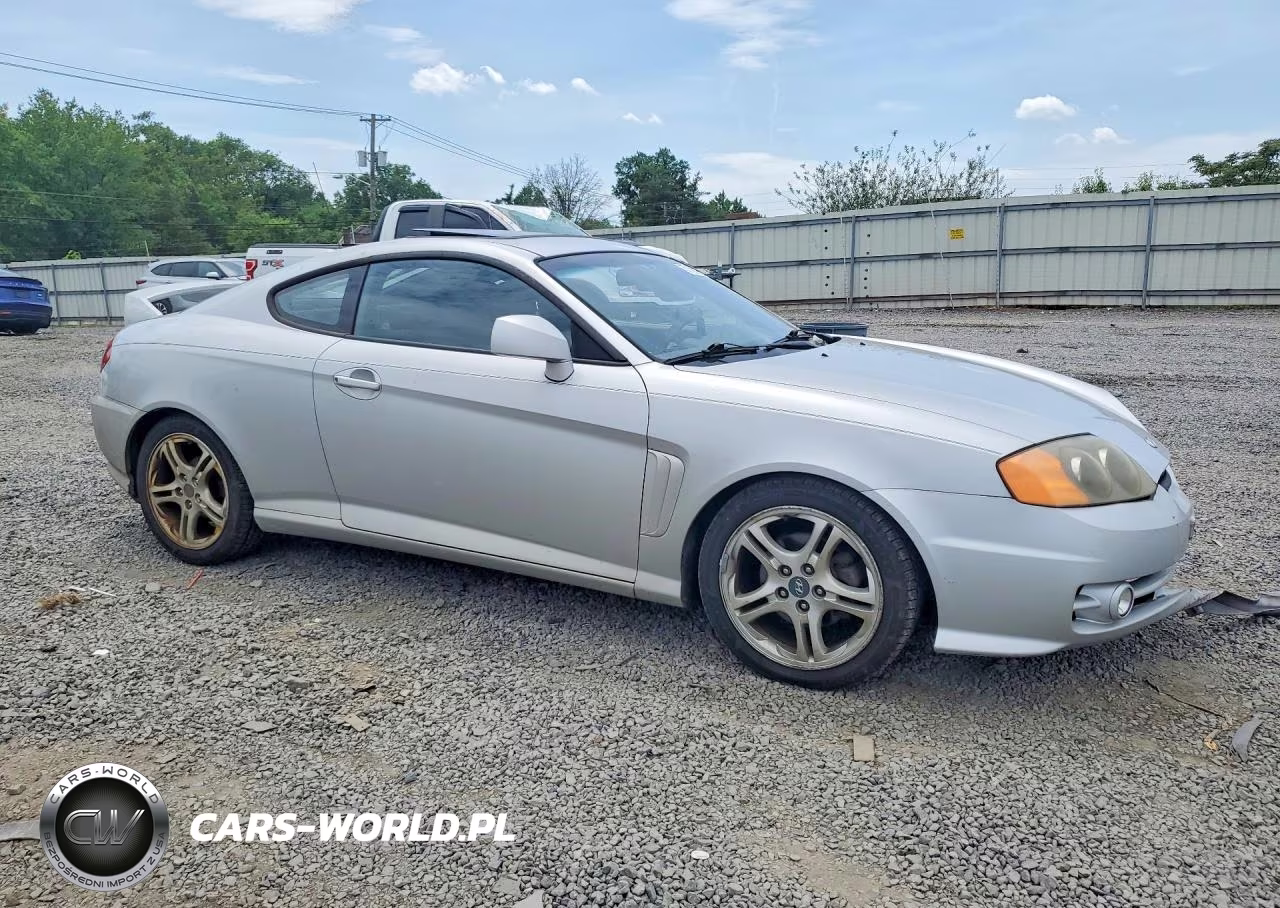 2004 Hyundai Tiburon Gt VIN:KMHHN65F84U123429 - 4
