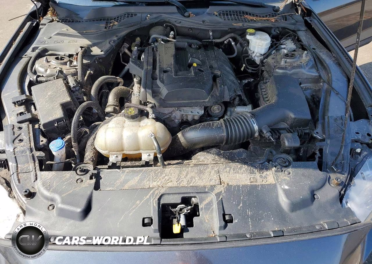2020 Ford Mustang VIN:1FA6P8TH0L5172810 - 11