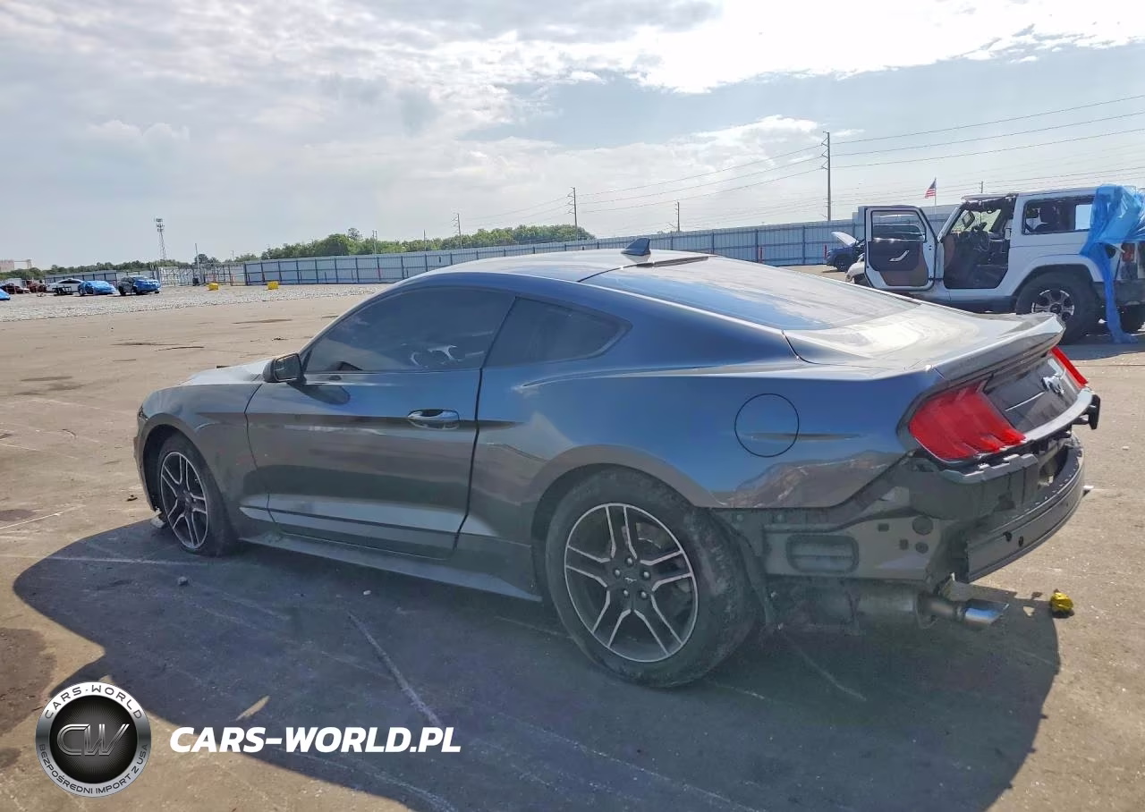 2020 Ford Mustang VIN:1FA6P8TH0L5172810 - 2