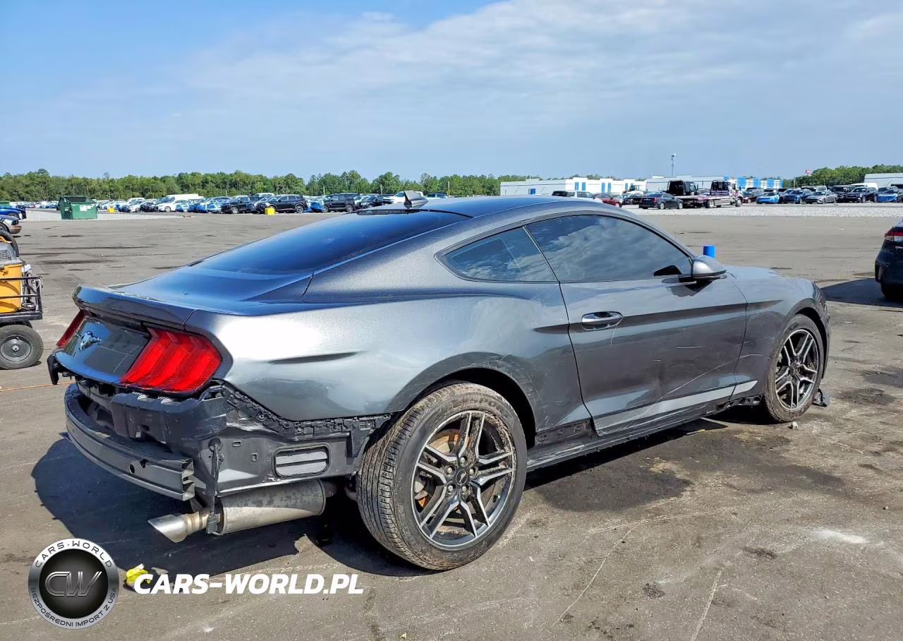 2020 Ford Mustang VIN:1FA6P8TH0L5172810 - 3