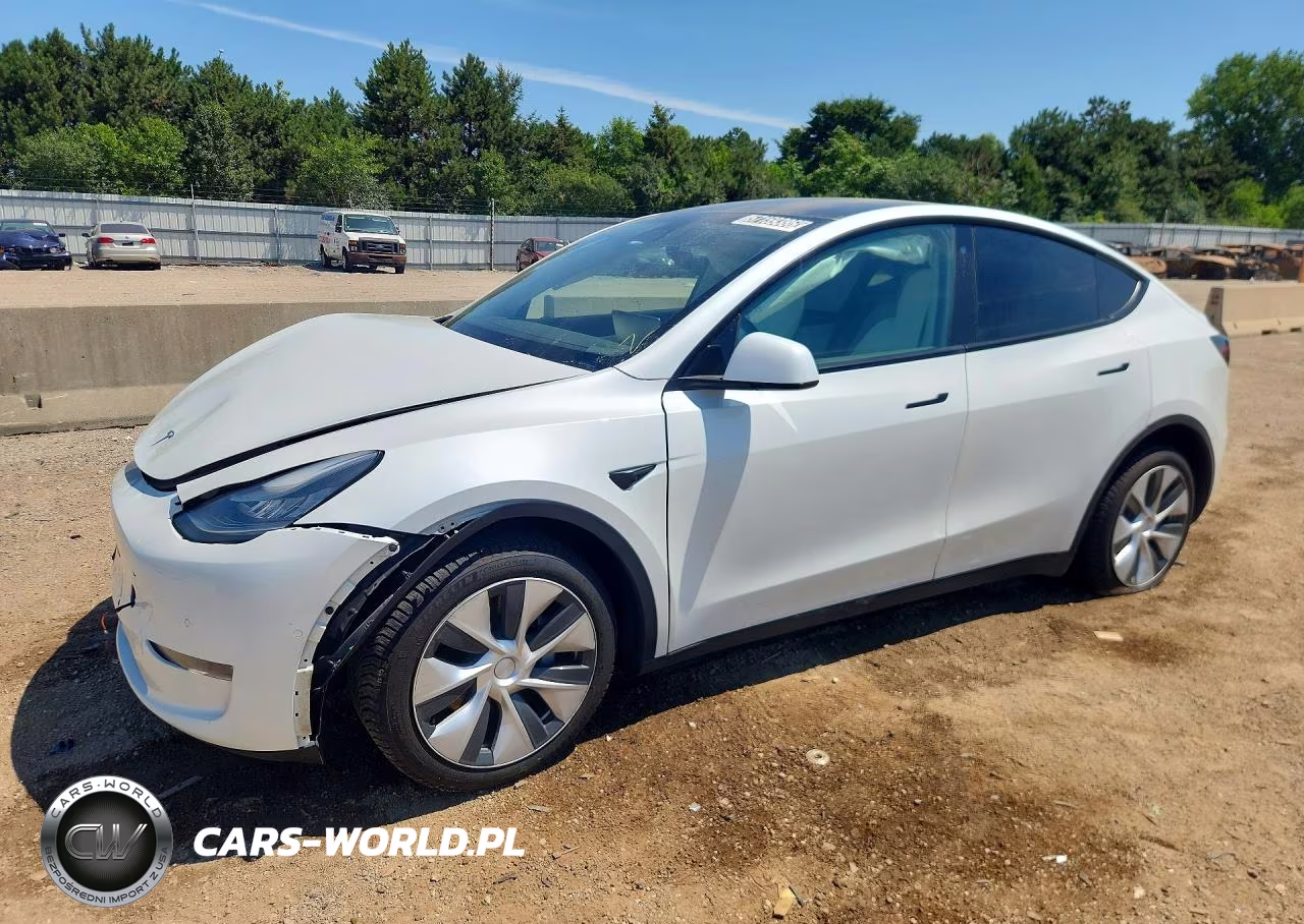 2020 Tesla Model Y