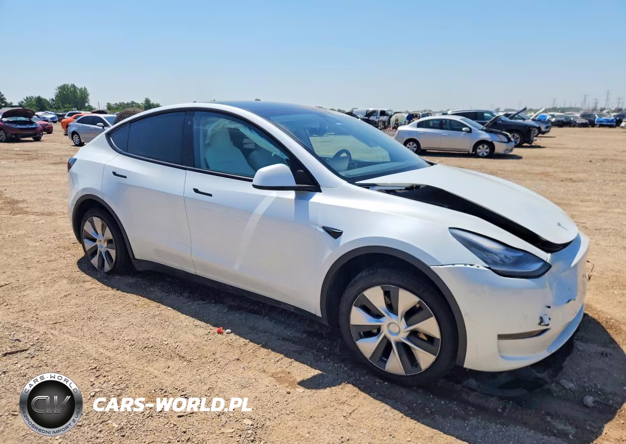 2020 Tesla Model Y VIN:5YJYGDEE3LF023756 - 4