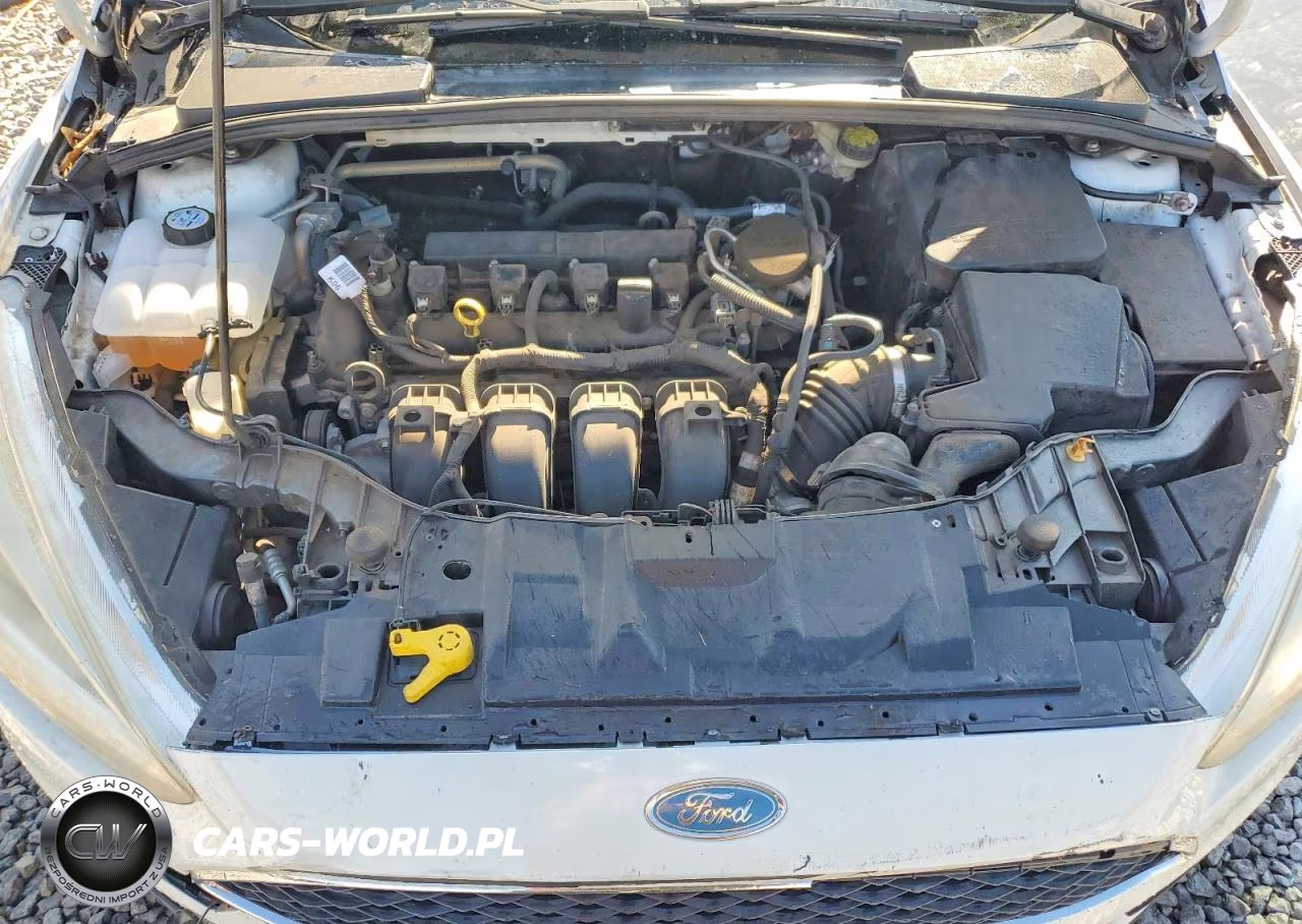 2016 Ford Focus S VIN:1FADP3E29GL294697 - 11