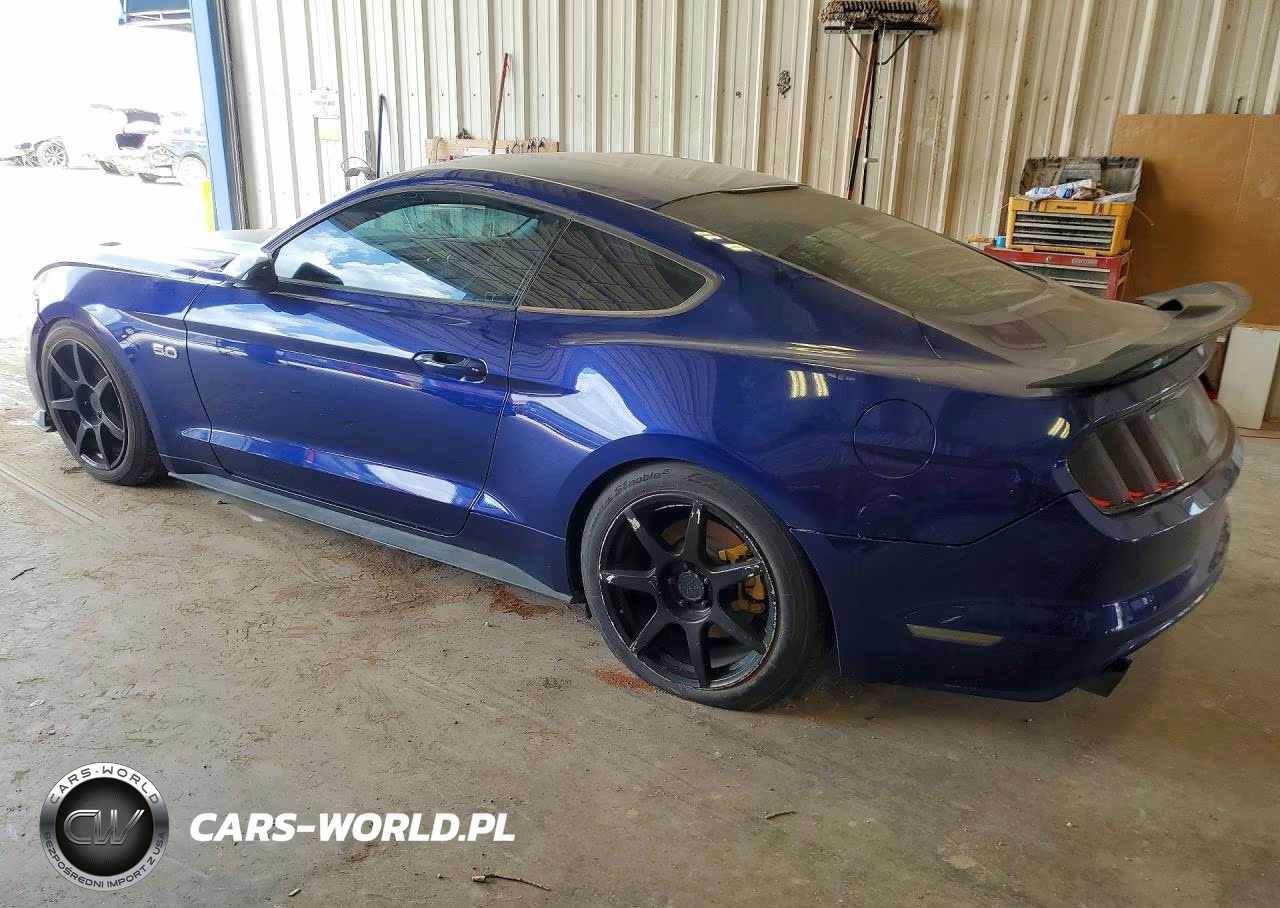 2016 Ford Mustang Gt VIN:1FA6P8CF0G5245906 - 2