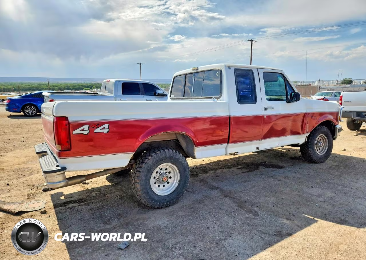 1992 Ford F150 VIN:1FTEX14Y3NKA84091 - 3