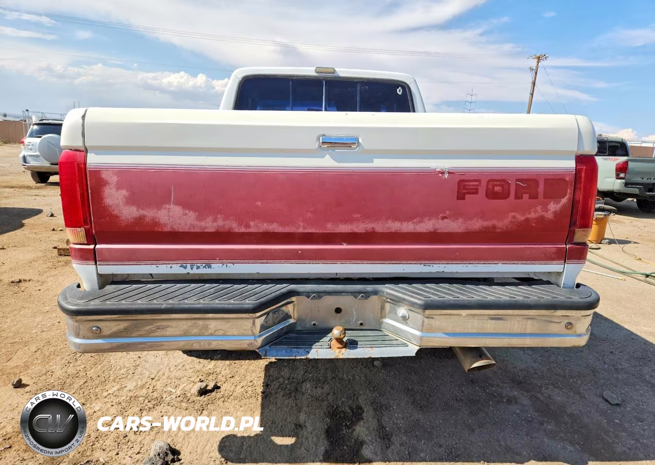 1992 Ford F150 VIN:1FTEX14Y3NKA84091 - 6