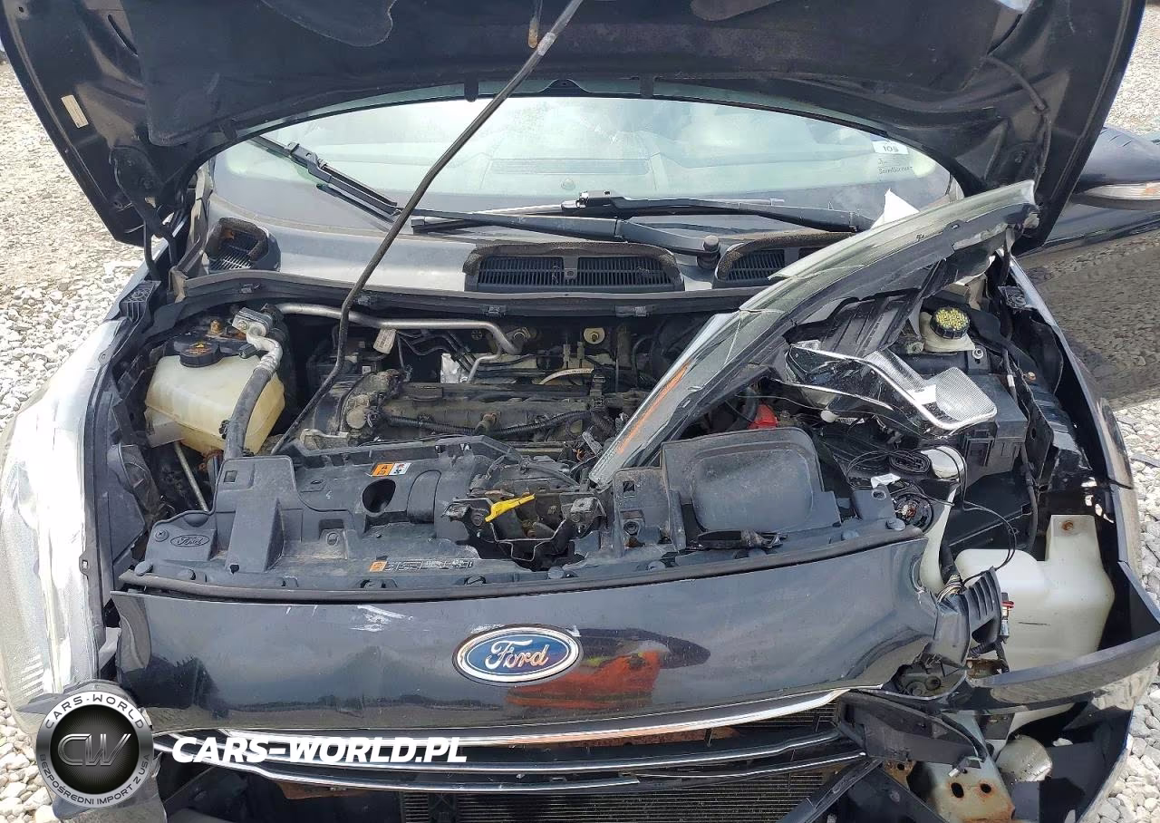 2014 Ford Fiesta Se VIN:3FADP4BJXEM145065 - 11