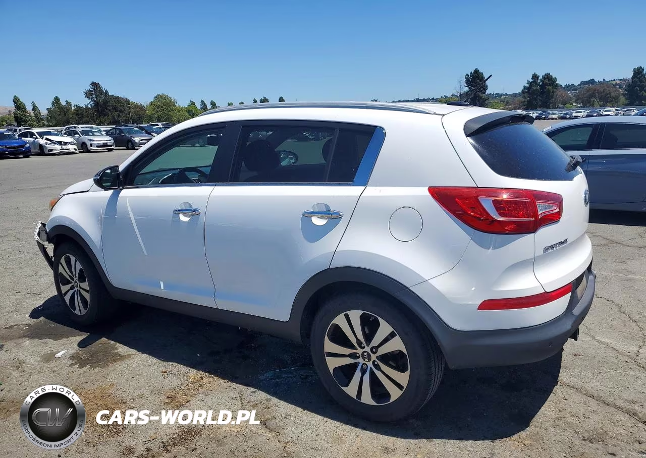 2013 Kia Sportage Ex VIN:KNDPC3A24D7443143 - 2