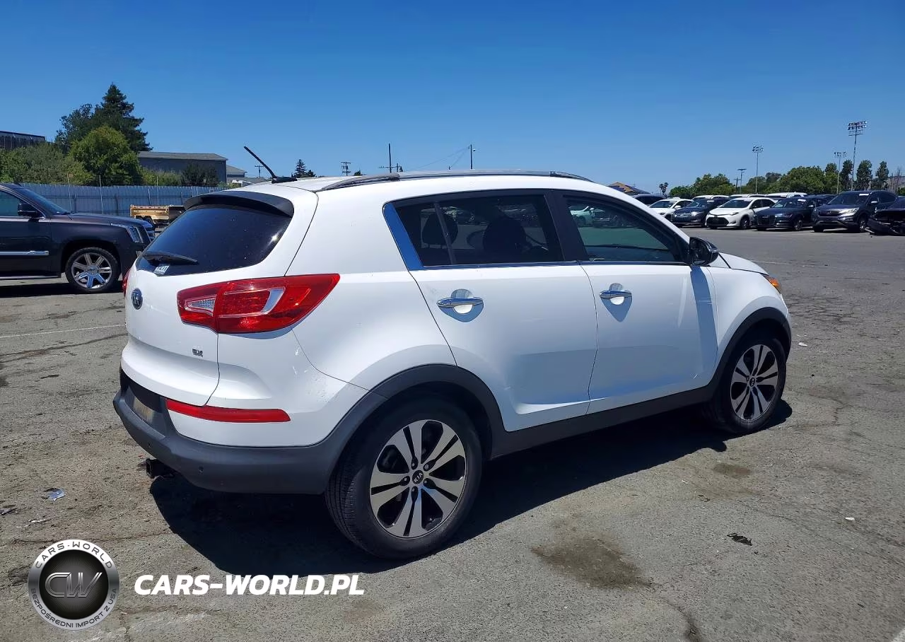 2013 Kia Sportage Ex VIN:KNDPC3A24D7443143 - 3