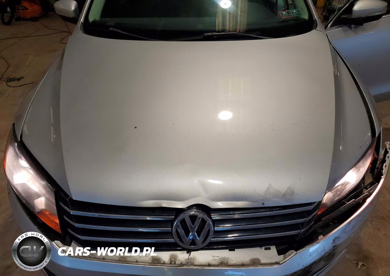 2013 Volkswagen Passat Se VIN:1VWBP7A38DC104307 - 11
