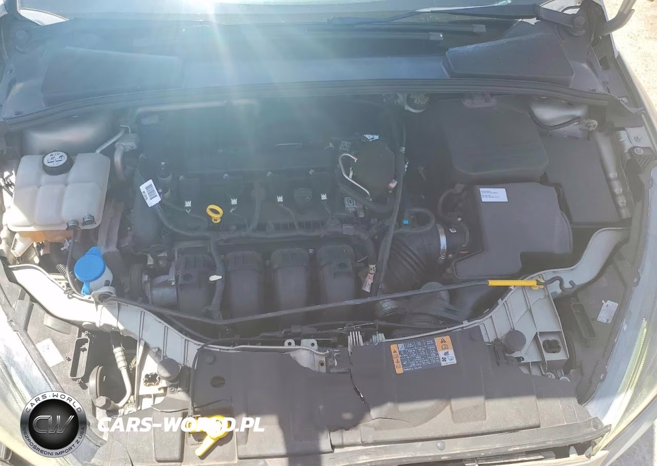 2015 Ford Focus Se VIN:1FADP3F24FL255545 - 11