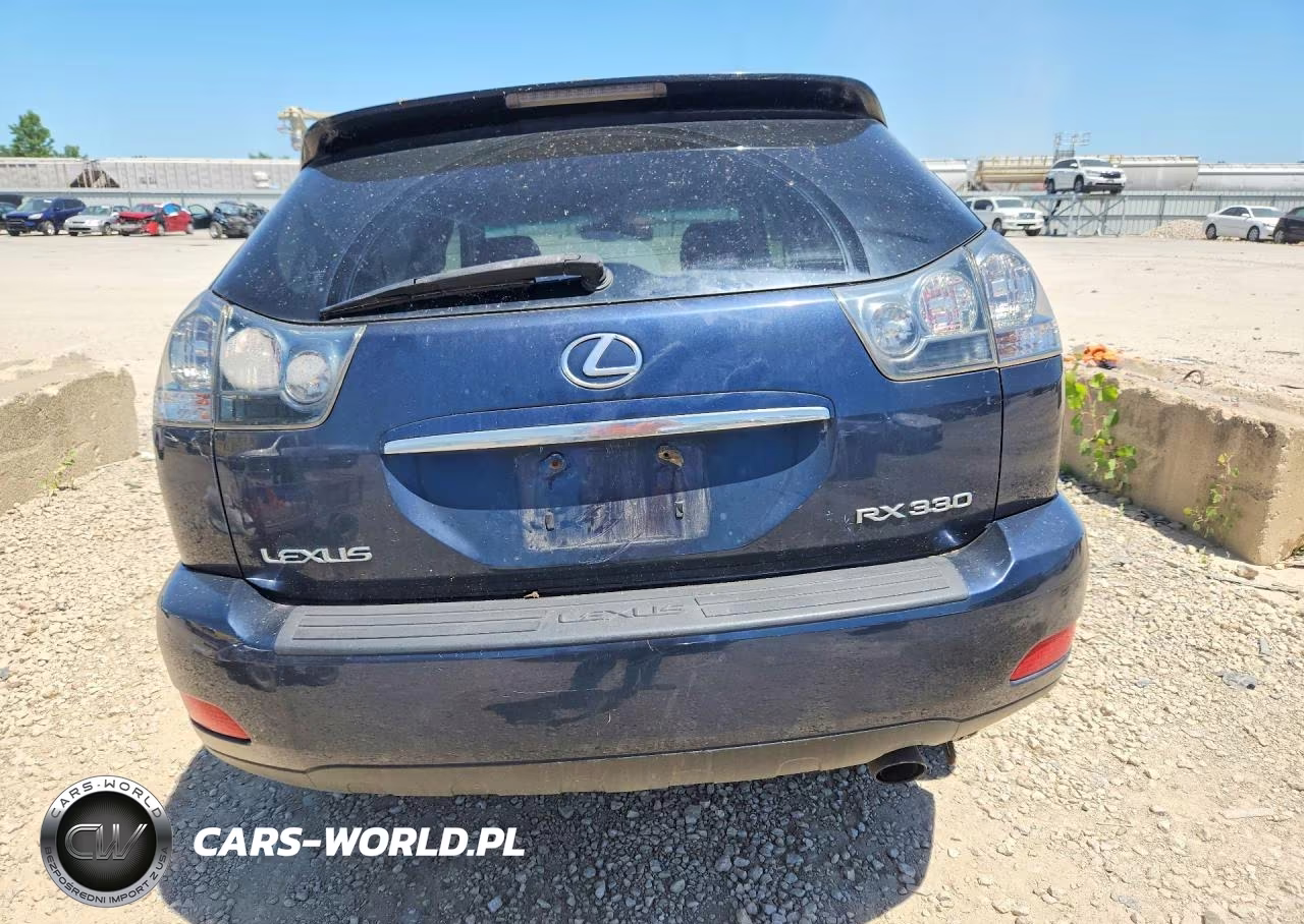 2004 Lexus Rx 330 VIN:JTJHA31U540025224 - 6