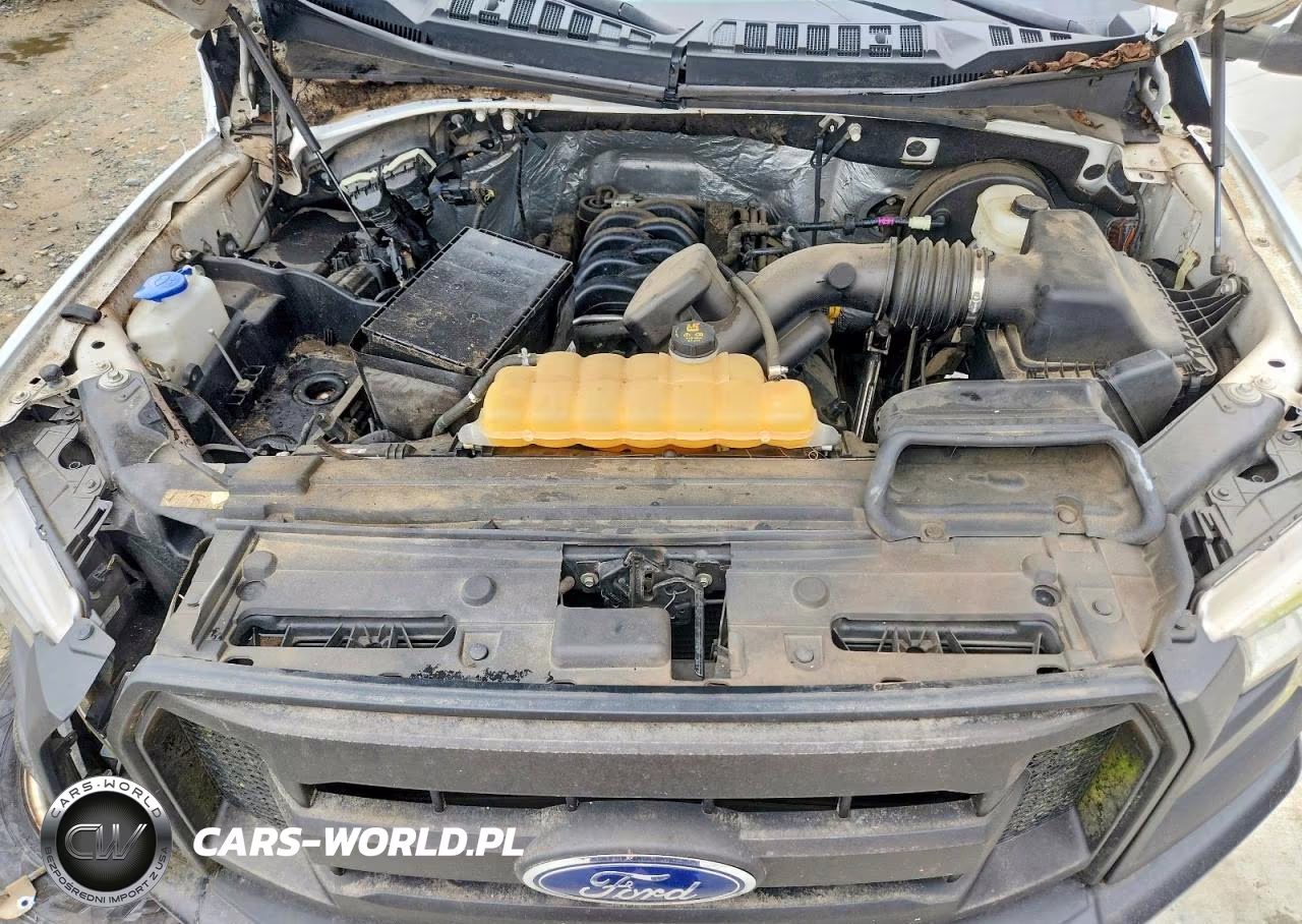 2016 Ford F150 VIN:1FTNF1CF3GKF38717 - 11