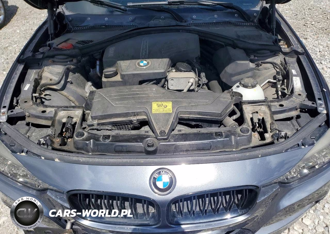 2014 BMW 328 Xi Sulev VIN:WBA3B5G55ENS07934 - 11