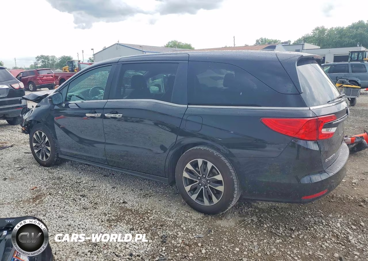 2024 Honda Odyssey Exl VIN:5FNRL6H69RB053322 - 2