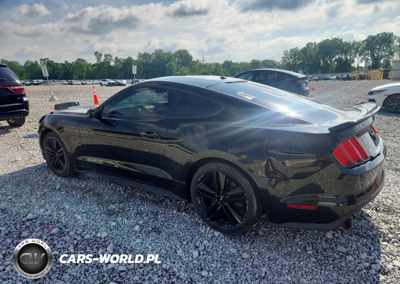 2016 Ford Mustang VIN:1FA6P8TH2G5335897 - 2