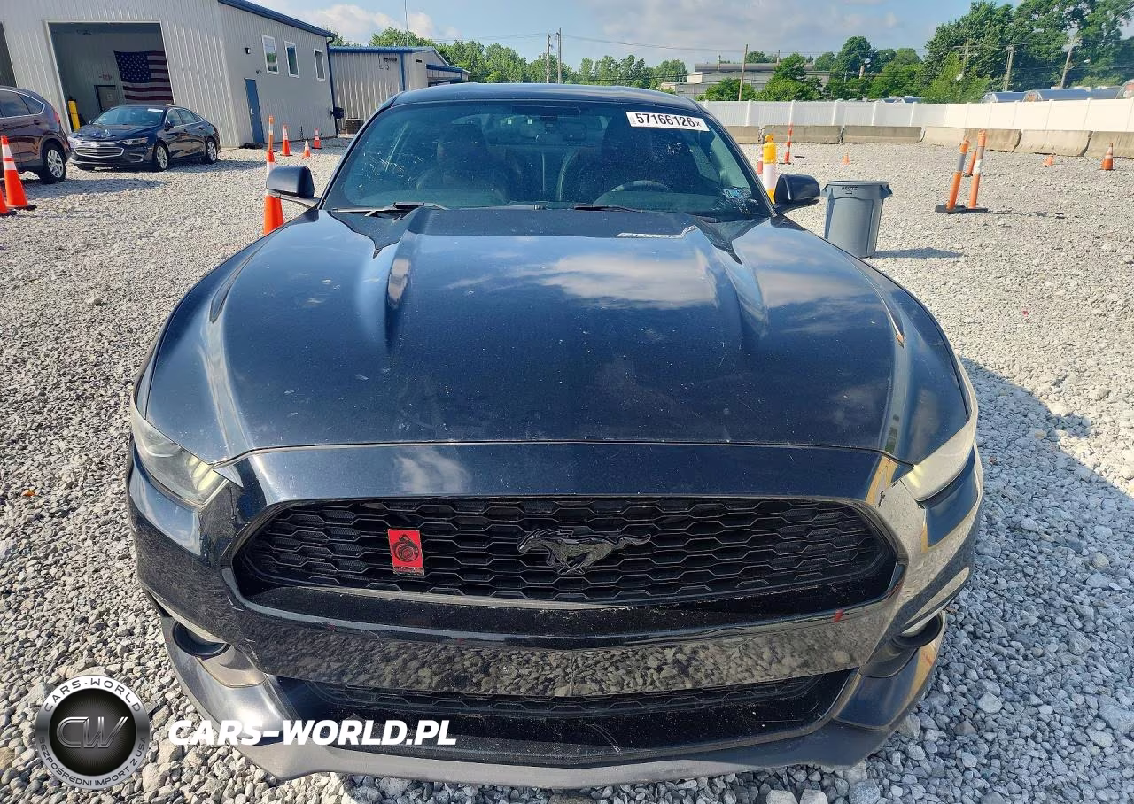 2016 Ford Mustang VIN:1FA6P8TH2G5335897 - 5