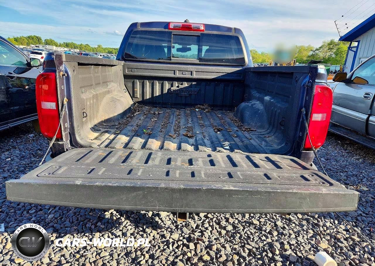 2018 Chevrolet Colorado Z71 VIN:1GCPTDE19J1258219 - 6