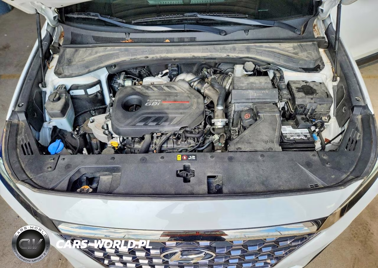 2020 Hyundai Santa Fe VIN:5NMS5CAA7LH250097 - 12