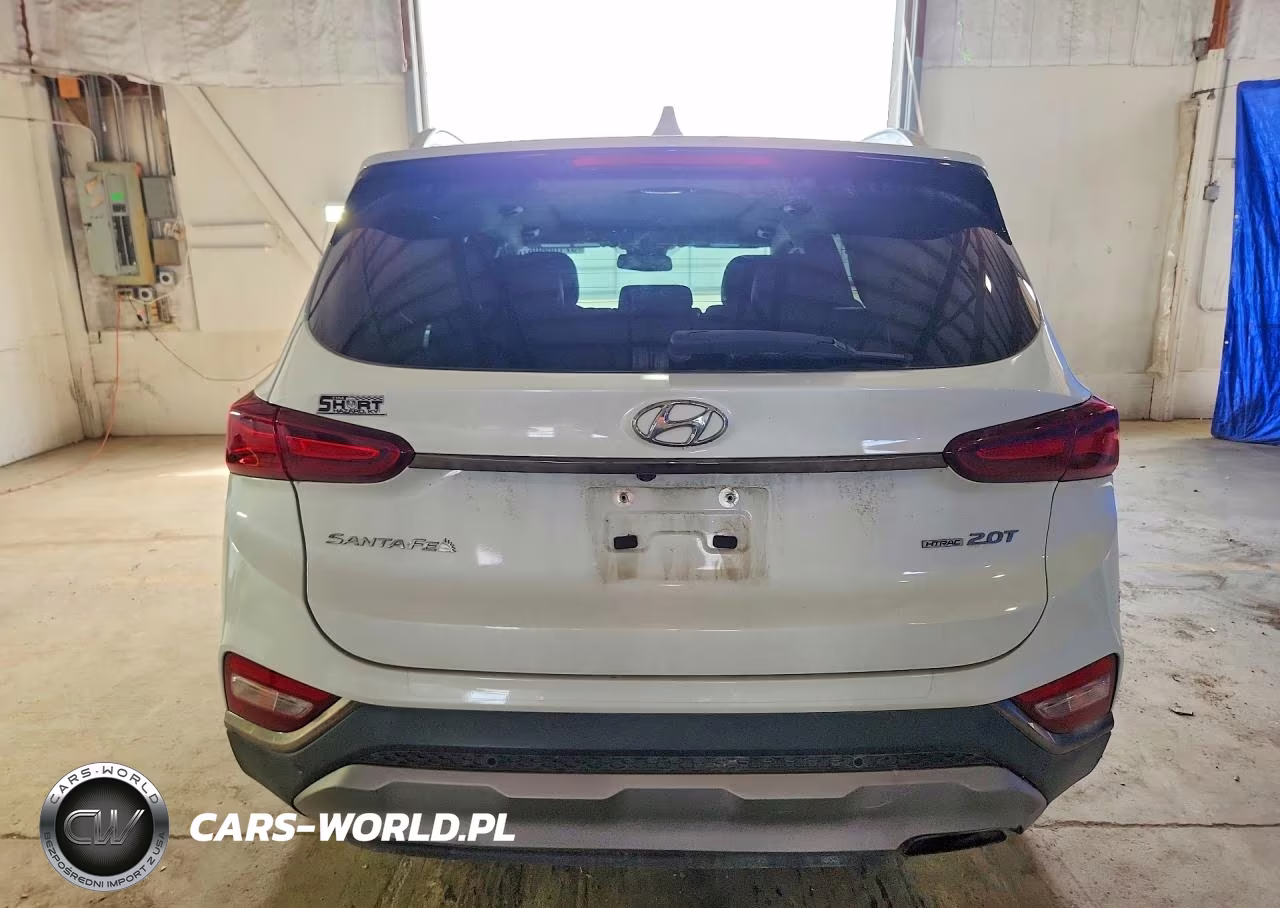 2020 Hyundai Santa Fe VIN:5NMS5CAA7LH250097 - 6
