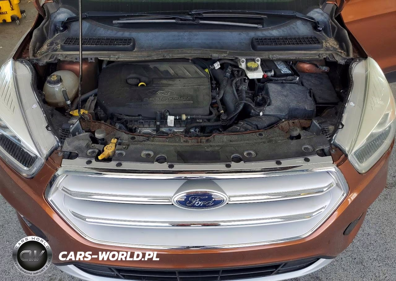 2017 Ford Escape Titanium VIN:1FMCU9JD4HUC08499 - 12