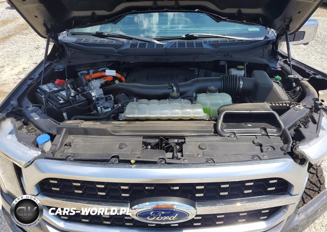 2022 Ford F150 Supercrew VIN:1FTFW1ED7NFA04772 - 11