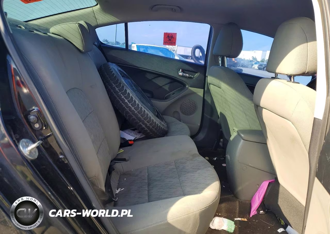 2015 Kia Forte Lx VIN:KNAFK4A68F5257690 - 10