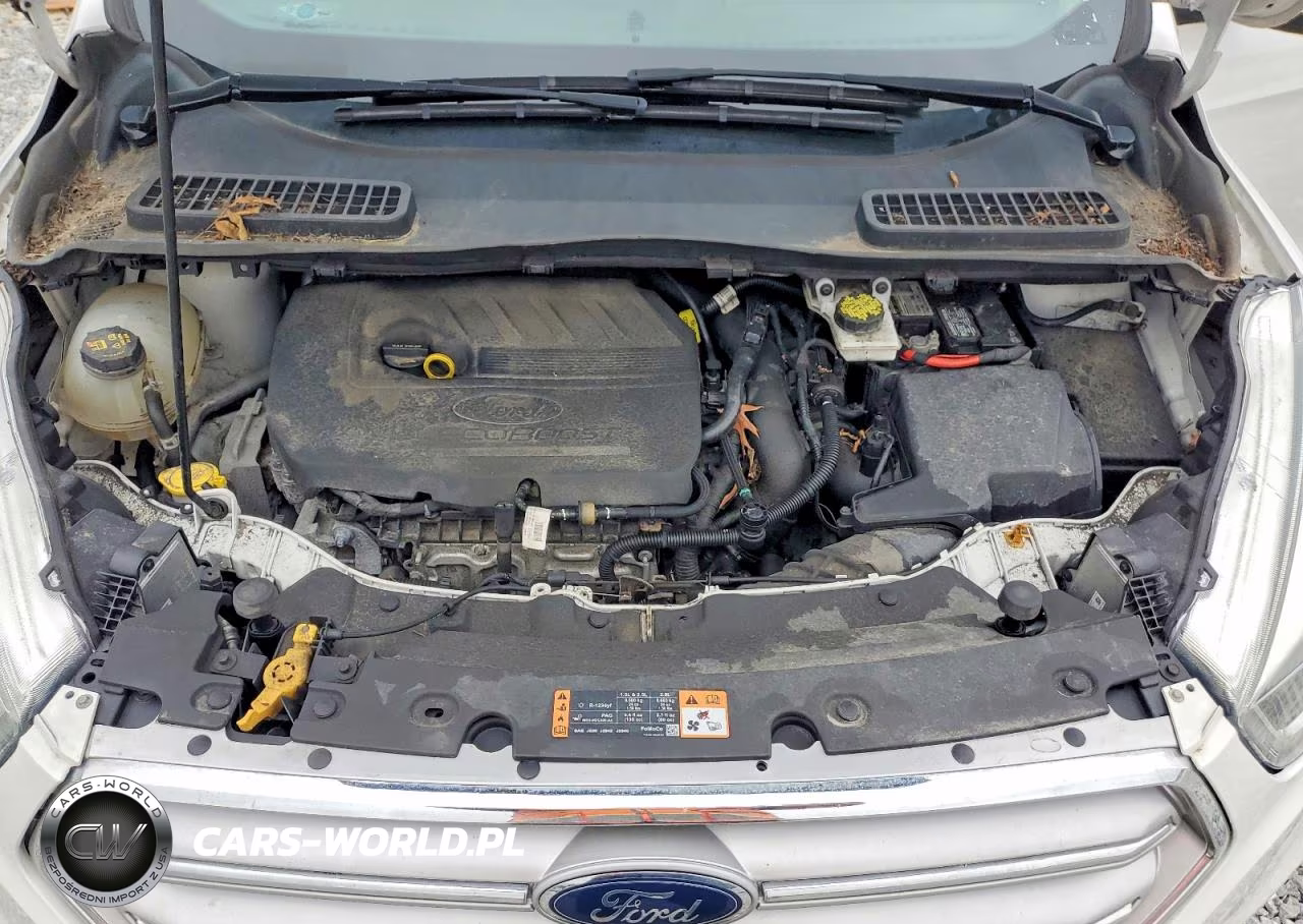2017 Ford Escape Se VIN:1FMCU0GD9HUB40123 - 12