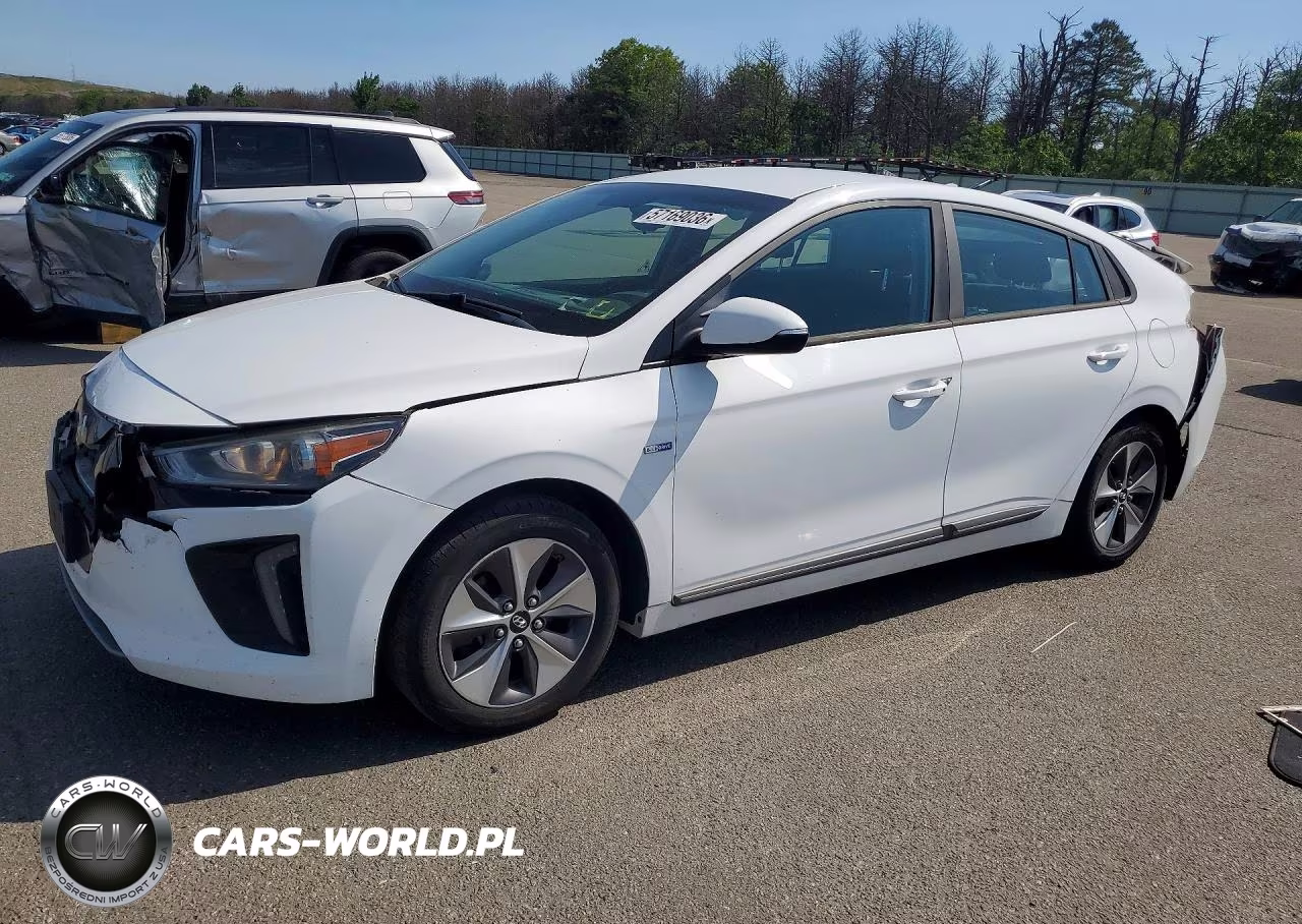 2019 Hyundai Ioniq Electric Base