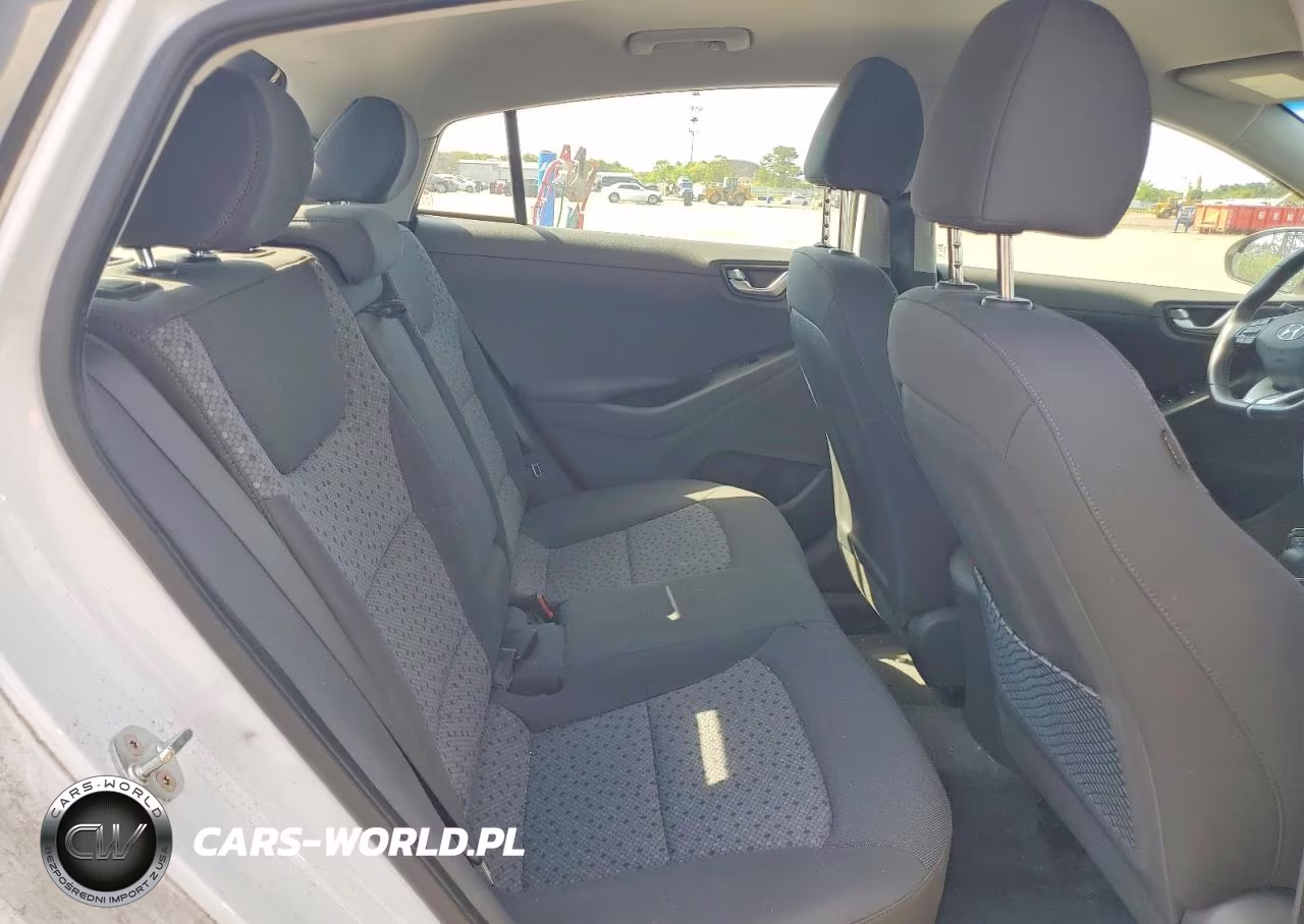 2019 Hyundai Ioniq Electric Base VIN:KMHC75LH8KU046514 - 10