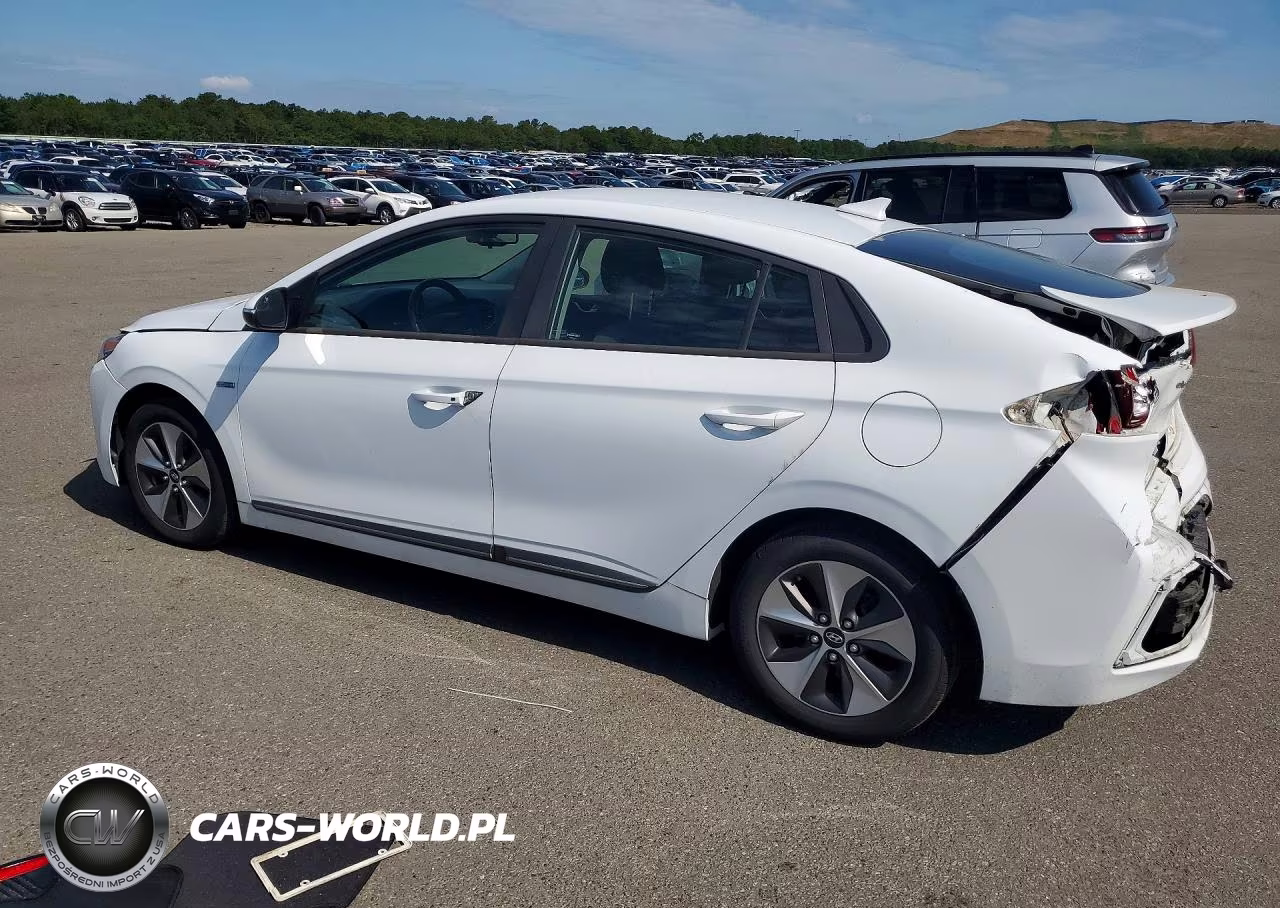 2019 Hyundai Ioniq Electric Base VIN:KMHC75LH8KU046514 - 2