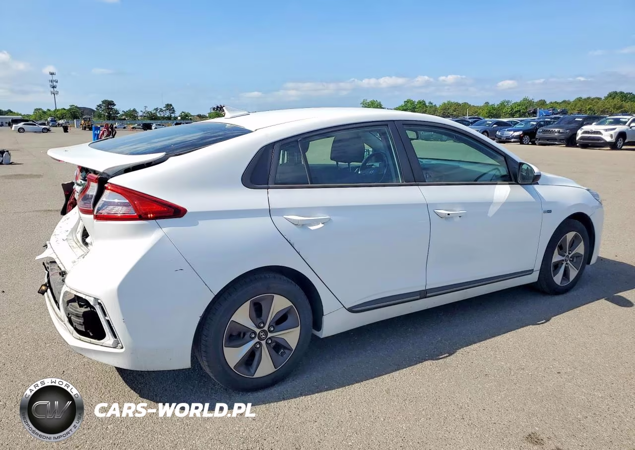 2019 Hyundai Ioniq Electric Base VIN:KMHC75LH8KU046514 - 3