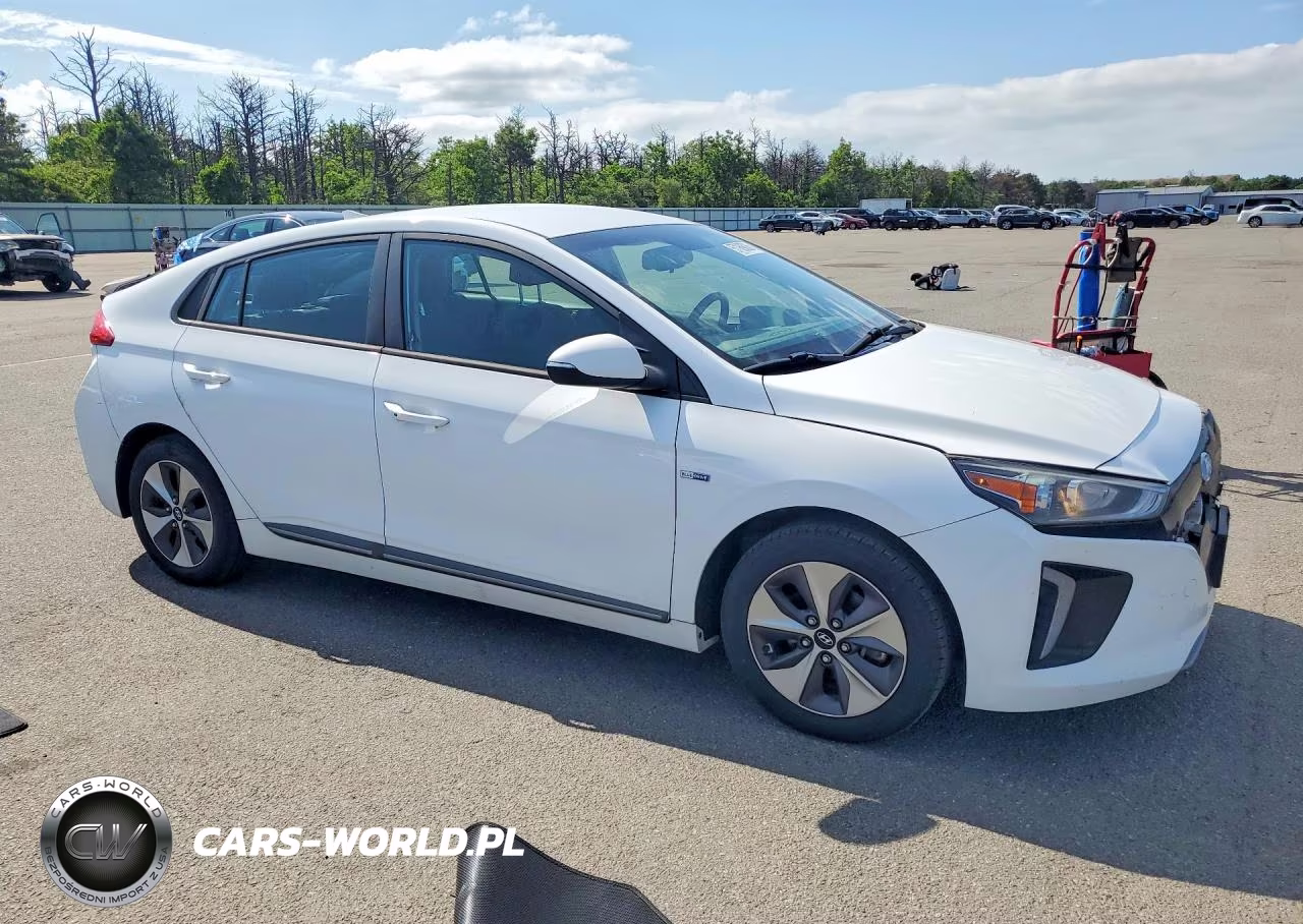 2019 Hyundai Ioniq Electric Base VIN:KMHC75LH8KU046514 - 4