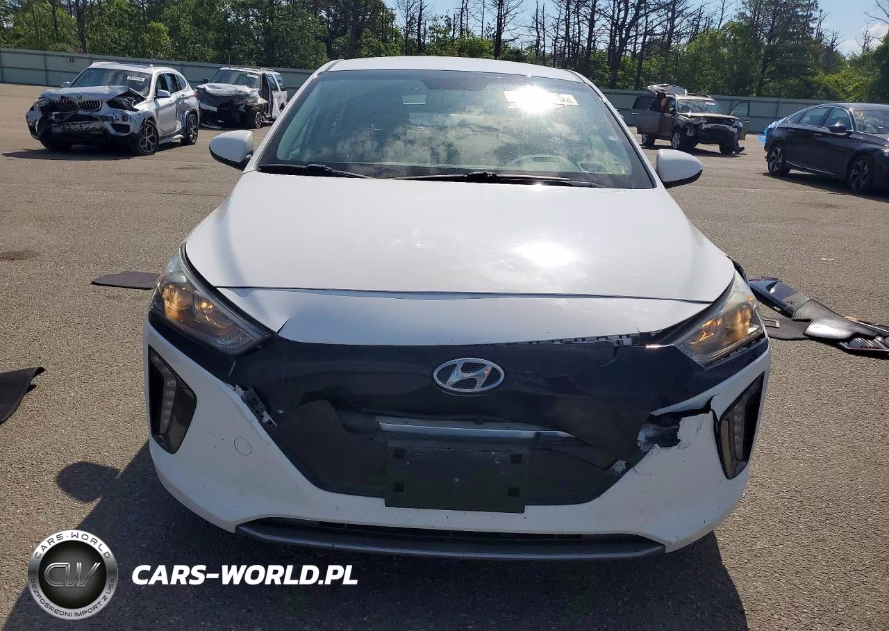 2019 Hyundai Ioniq Electric Base VIN:KMHC75LH8KU046514 - 5