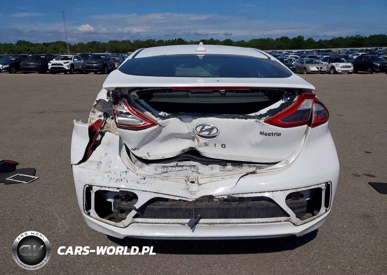 2019 Hyundai Ioniq Electric Base VIN:KMHC75LH8KU046514 - 6