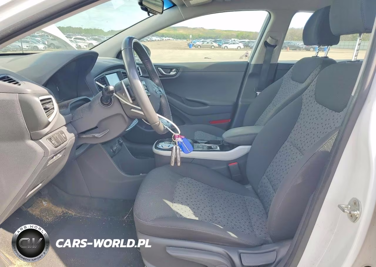 2019 Hyundai Ioniq Electric Base VIN:KMHC75LH8KU046514 - 7