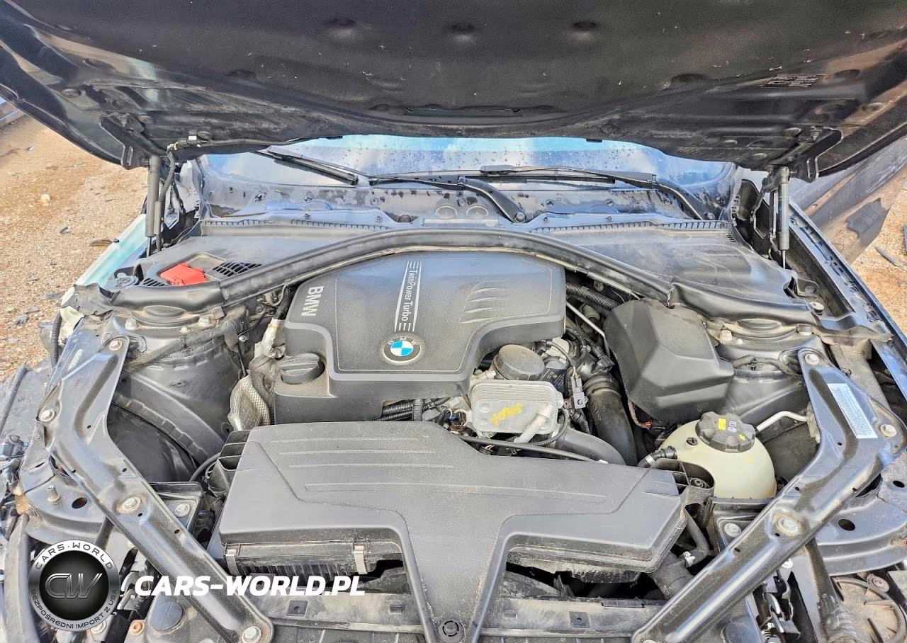 2015 BMW 428 Xi VIN:WBA3V9C5XFP798756 - 11