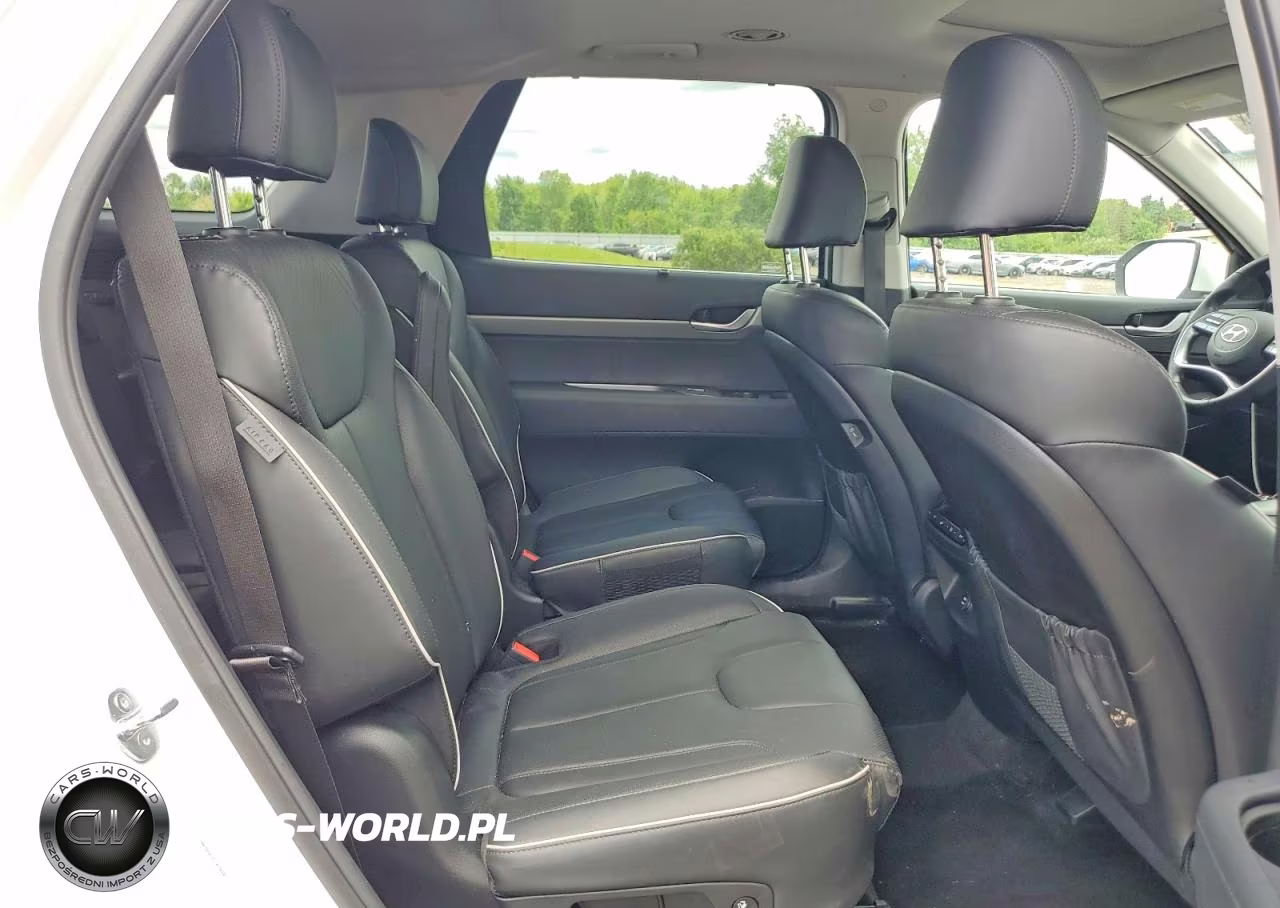 2025 Hyundai Palisade Xrt VIN:KM8R3DGE3SU879945 - 11