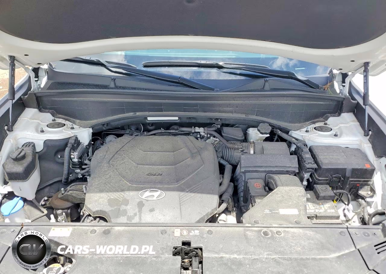 2025 Hyundai Palisade Xrt VIN:KM8R3DGE3SU879945 - 12