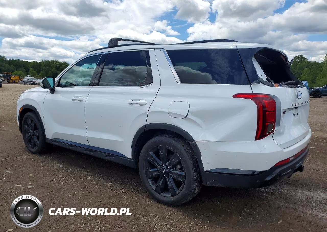 2025 Hyundai Palisade Xrt VIN:KM8R3DGE3SU879945 - 2