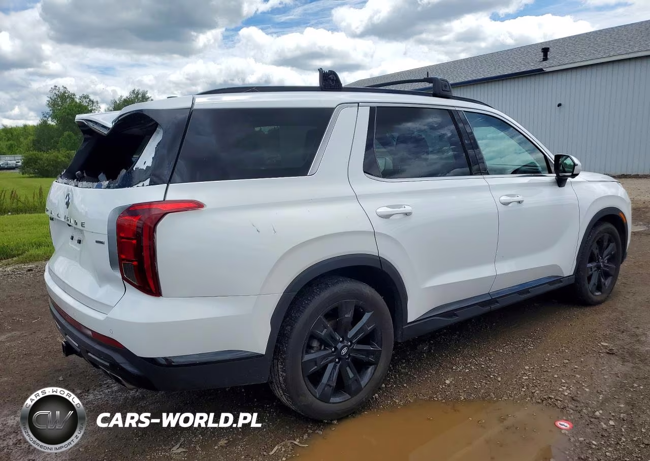 2025 Hyundai Palisade Xrt VIN:KM8R3DGE3SU879945 - 3