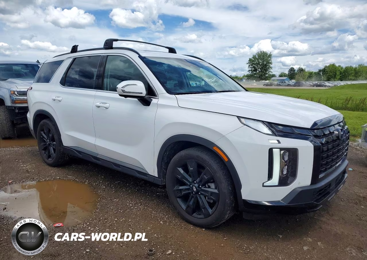 2025 Hyundai Palisade Xrt VIN:KM8R3DGE3SU879945 - 4