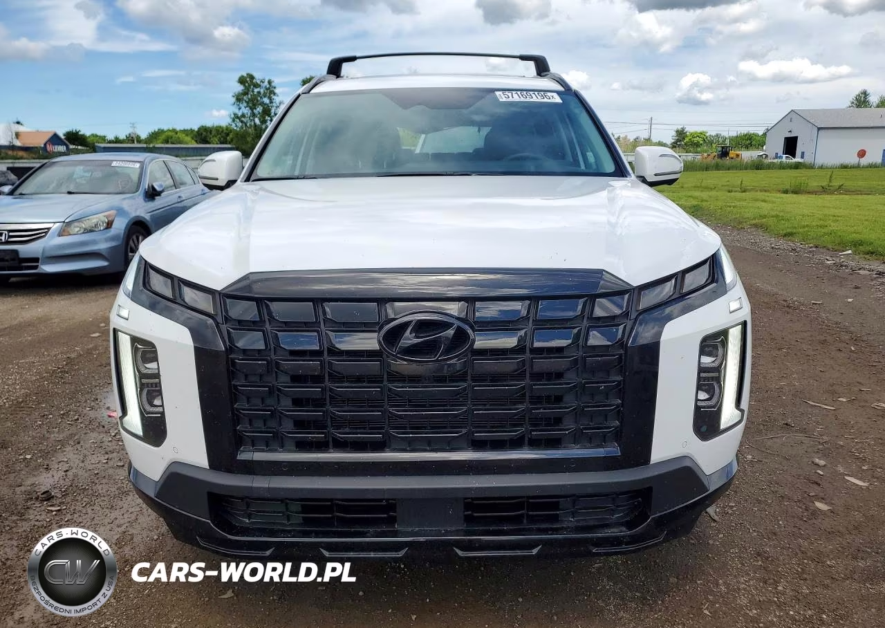 2025 Hyundai Palisade Xrt VIN:KM8R3DGE3SU879945 - 5