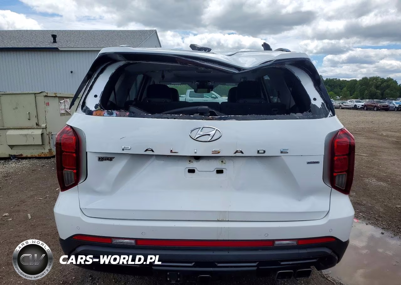 2025 Hyundai Palisade Xrt VIN:KM8R3DGE3SU879945 - 6