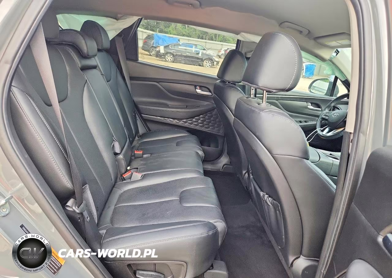 2023 Hyundai Santa Fe Xrt VIN:5NMS64AJ1PH510518 - 10
