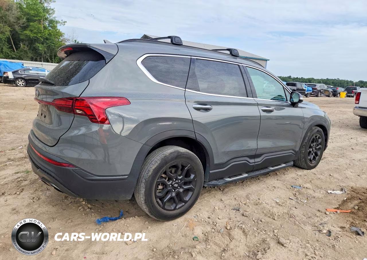 2023 Hyundai Santa Fe Xrt VIN:5NMS64AJ1PH510518 - 3